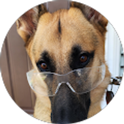 Profile photo of Allen Zheng