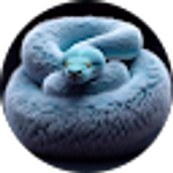 Profile photo of B Daugherty