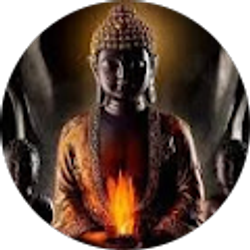 Profile photo of Luis Ventura