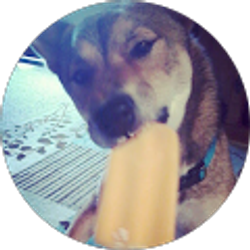 Profile photo of Ashlee Carstens