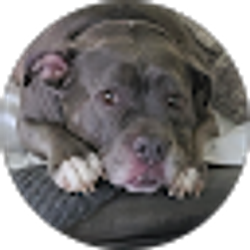 Profile photo of Joan W