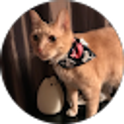 Profile photo of Samantha