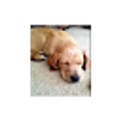 Profile photo of Chris Postlethwaite