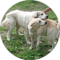 Profile photo of ginger ehrhardt