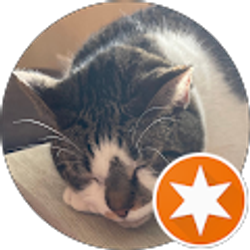 Profile photo of Richard Pitruzzello