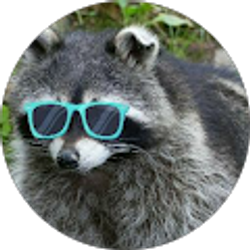 Profile photo of ッBucci_Baccoon