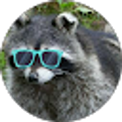 Profile photo of ッBucci_Baccoon