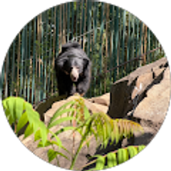 Profile photo of Sharon L