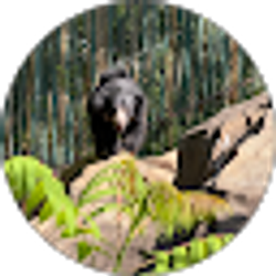 Profile photo of Sharon L