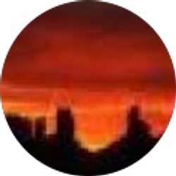 Profile photo of Steve Nelson