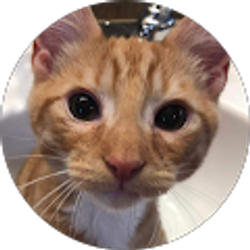 Profile photo of vannah's world