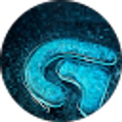 Profile photo of GuangxinZ