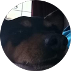 Profile photo of Bob Bollinger