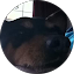 Profile photo of Bob Bollinger