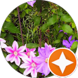 Profile photo of Sharon Busch