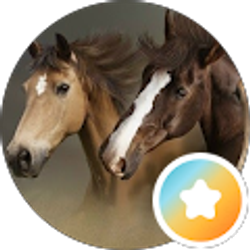 Profile photo of Shelly Chapman