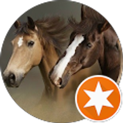 Profile photo of Shelly Chapman