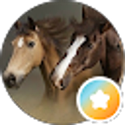 Profile photo of Shelly Chapman