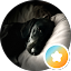 Profile photo of Lee Shand