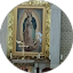 Profile photo of Mercedes Martinez