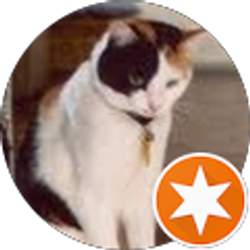 Profile photo of Bill Towey