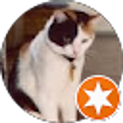 Profile photo of Bill Towey