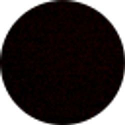 Profile photo of Anilu Arrieta