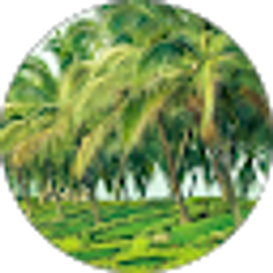 Profile photo of Ram