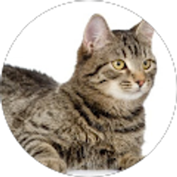 Profile photo of sherry dale