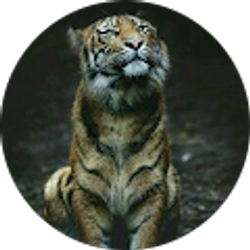 Profile photo of L M