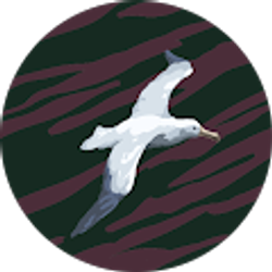 Profile photo of Marci L