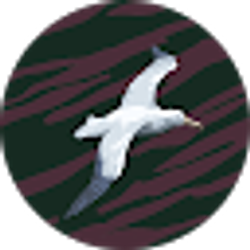 Profile photo of Marci L