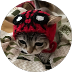 Profile photo of Piper Cook