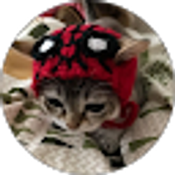 Profile photo of Piper Cook