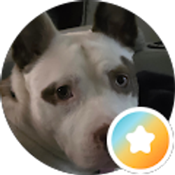 Profile photo of Kris Robichaux-Trahan