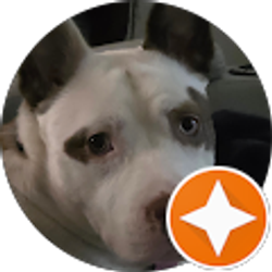 Profile photo of Kris Robichaux-Trahan