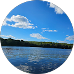 Profile photo of Gregg Meisenhelter