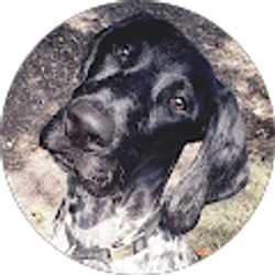 Profile photo of Jessica Shanks