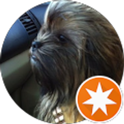 Profile photo of Ted Laun