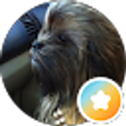 Profile photo of Ted Laun