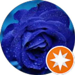 Profile photo of Becky