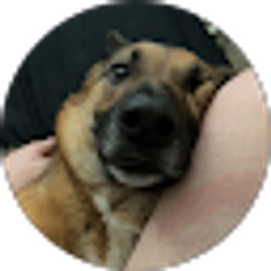 Profile photo of Nate Opperman