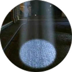 Profile photo of Dennis