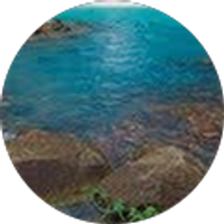 Profile photo of Mandy Hall