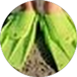 Profile photo of Renée Hendricksen