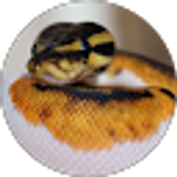 Profile photo of Steak House (ingo)