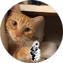 Profile photo of David Weber