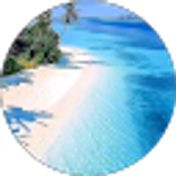 Profile photo of Donna B