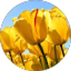 Profile photo of Deniese White