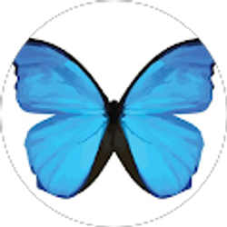 Profile photo of Kourtney Stark